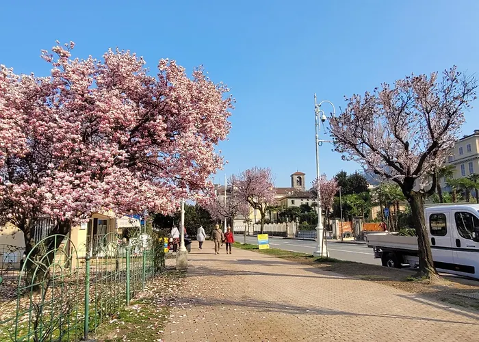 Al Dolce * 스트레사